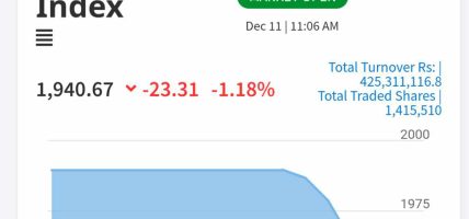 सोमबार सेयर बजारमा तिब्र उतारचढाव