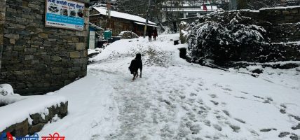 हुम्लामा दोस्रोपटक हिमपात, जनजीवन कष्टकर