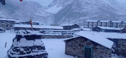 ढोरपाटनमा हिमपात हुँदा किसान खुसी